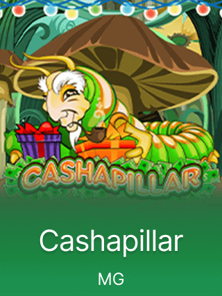 Cashapillar